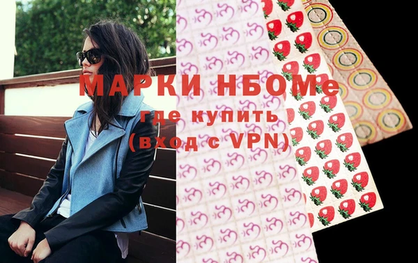 шишки Белокуриха