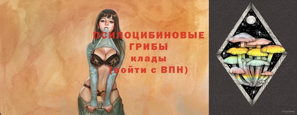 индика Беломорск