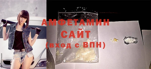 шишки Белокуриха