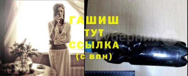 индика Беломорск