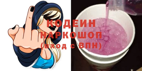 индика Беломорск