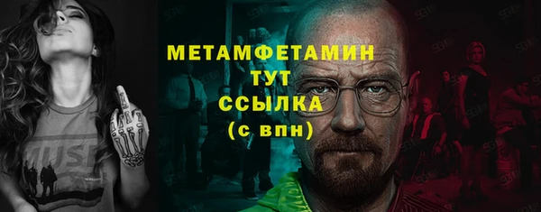 шишки Белокуриха