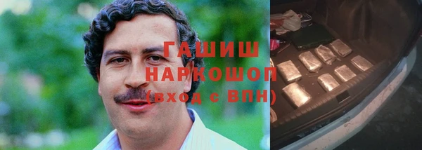 шишки Белокуриха