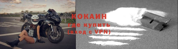шишки Белокуриха