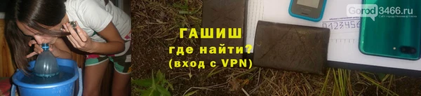 индика Беломорск