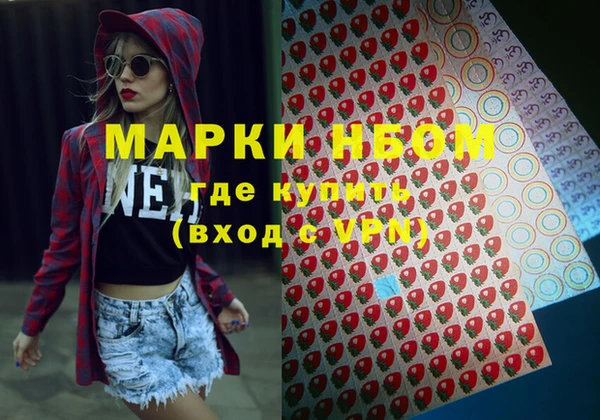 индика Беломорск
