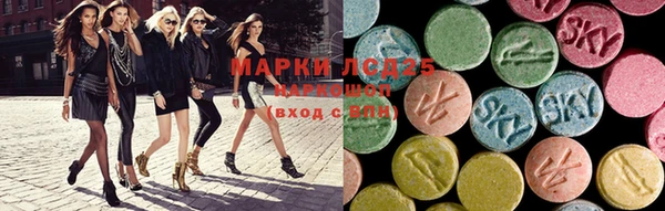 индика Беломорск