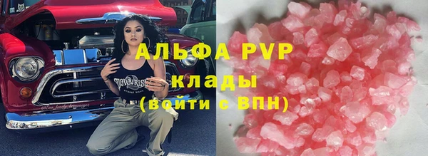 шишки Белокуриха