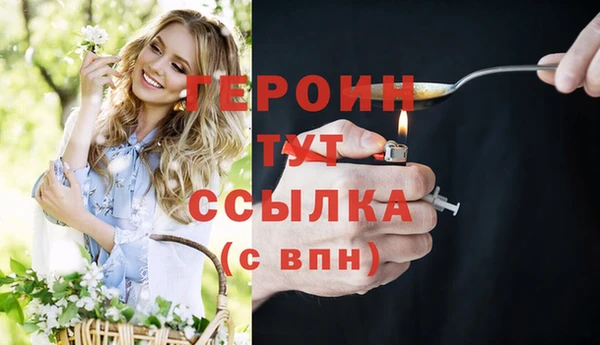 индика Беломорск