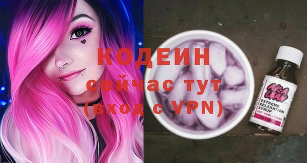 шишки Белокуриха