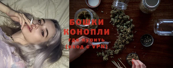 шишки Белокуриха