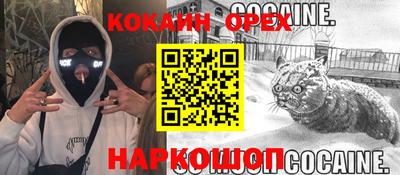 дмт Новокубанск