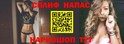 шишки Новозыбков