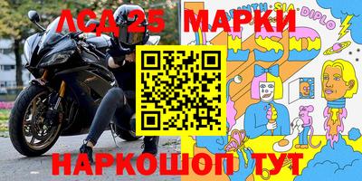 дмт Новокубанск