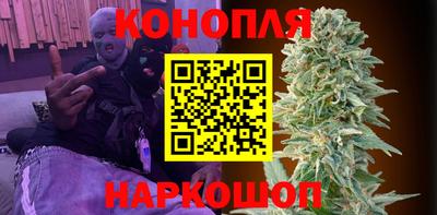шишки Новозыбков
