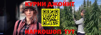 шишки Новозыбков
