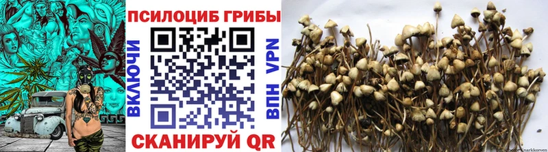 купить   Гусев  Галлюциногенные грибы GOLDEN TEACHER 