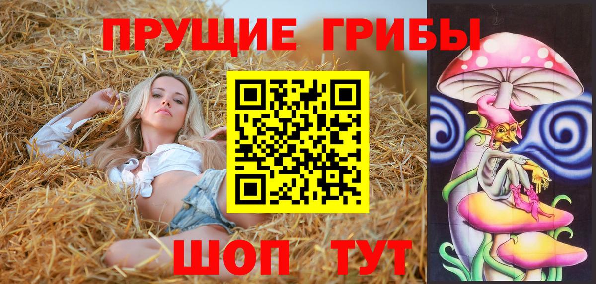 Псилоцибиновые грибы GOLDEN TEACHER Гусев