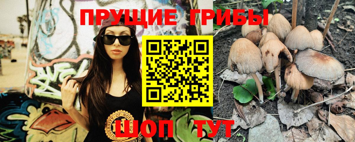 Гусев  где купить наркотик  Псилоцибиновые грибы прущие грибы  Вход с VPN  Псилоцибиновые грибы мухоморы 
